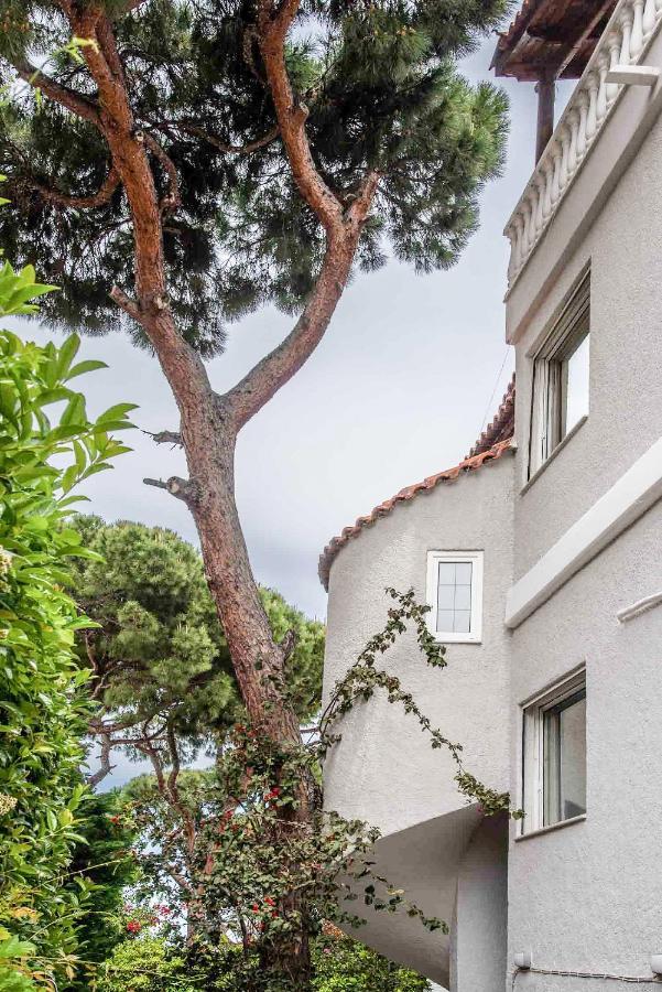 Sunny Escape:stylish And Roomy In Haven! Apartment